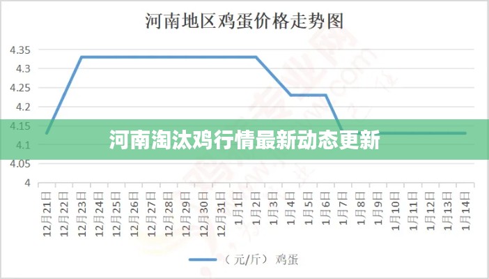 河南淘汰鸡行情最新动态更新
