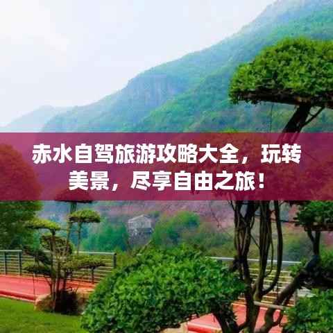 赤水自驾旅游攻略大全，玩转美景，尽享自由之旅！